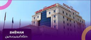 دانشگاه گلیشیم استانبول (İstanbul Gelişim Üniversitesi)