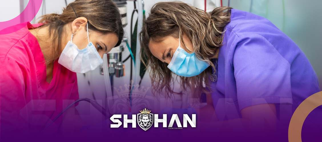 آژانس مهاجرتی شاهان اخذ اقامت تحصیلی ترکیه و اخذ پذیرش تحصیلی از دانشگاه های ترکیه در سریع ترین زمان