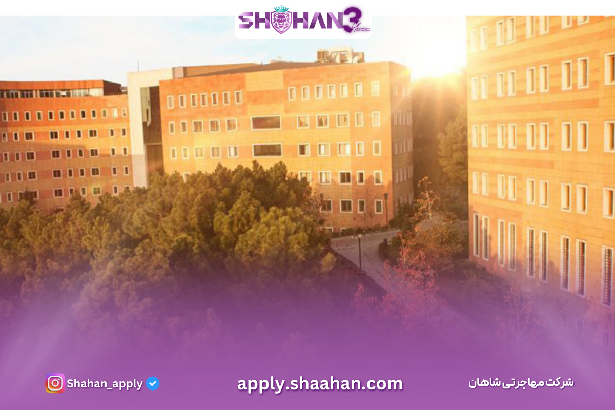 آژانس مهاجرتی شاهان اخذ اقامت تحصیلی ترکیه و اخذ پذیرش تحصیلی از دانشگاه های ترکیه در سریع ترین زمان